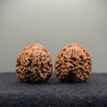 Nanjiang Stone Wenwan Walnut · 36mm · Natural · Select Ritual