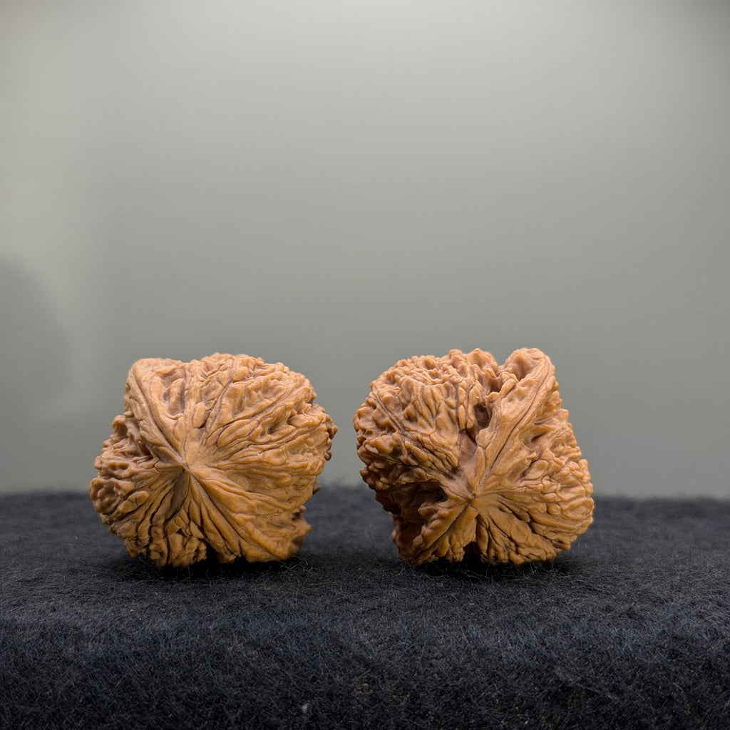 Nanjiang Stone Wenwan Walnut · 36mm · Natural · Select Ritual