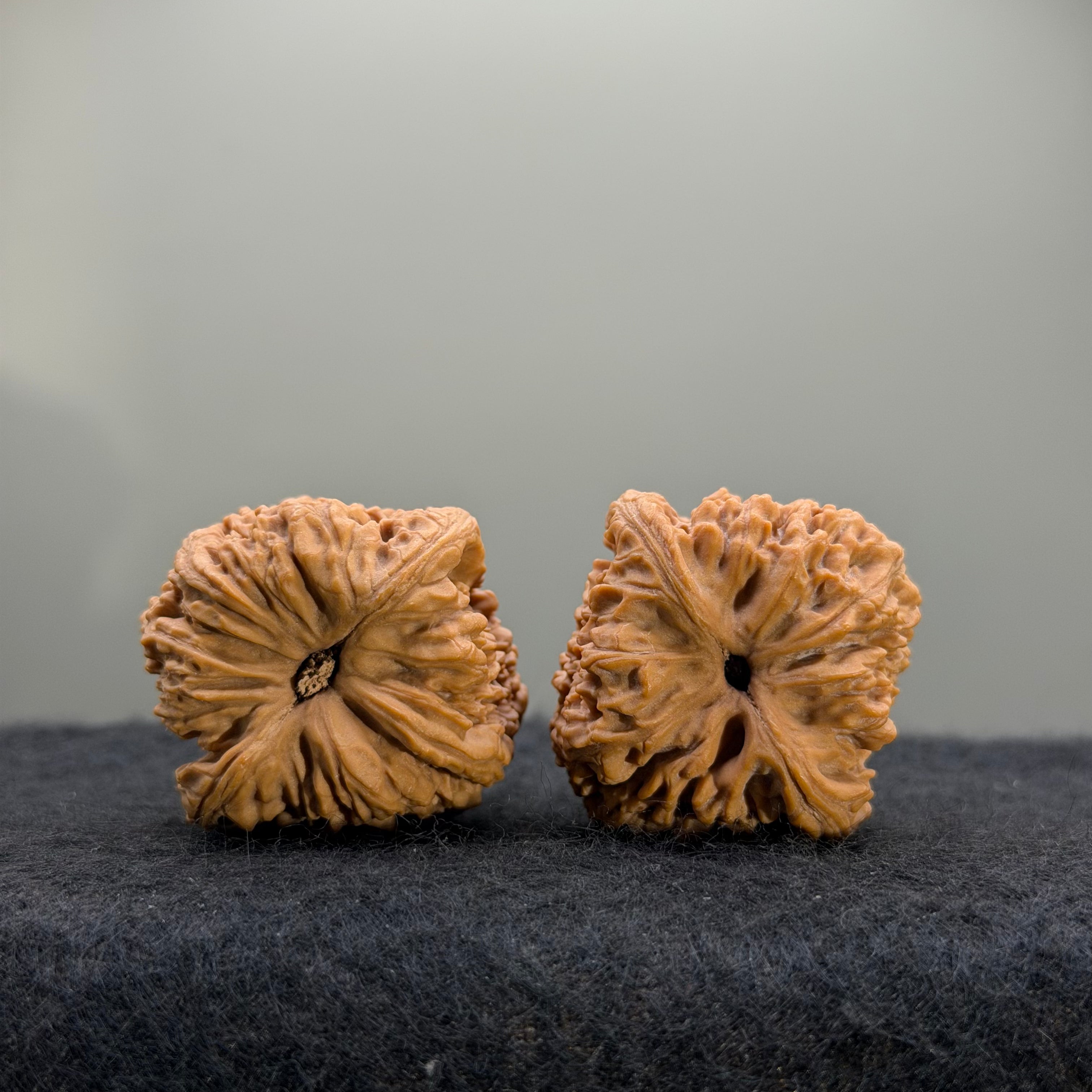 Nanjiang Stone Wenwan Walnut · 36mm · Natural · Select Ritual