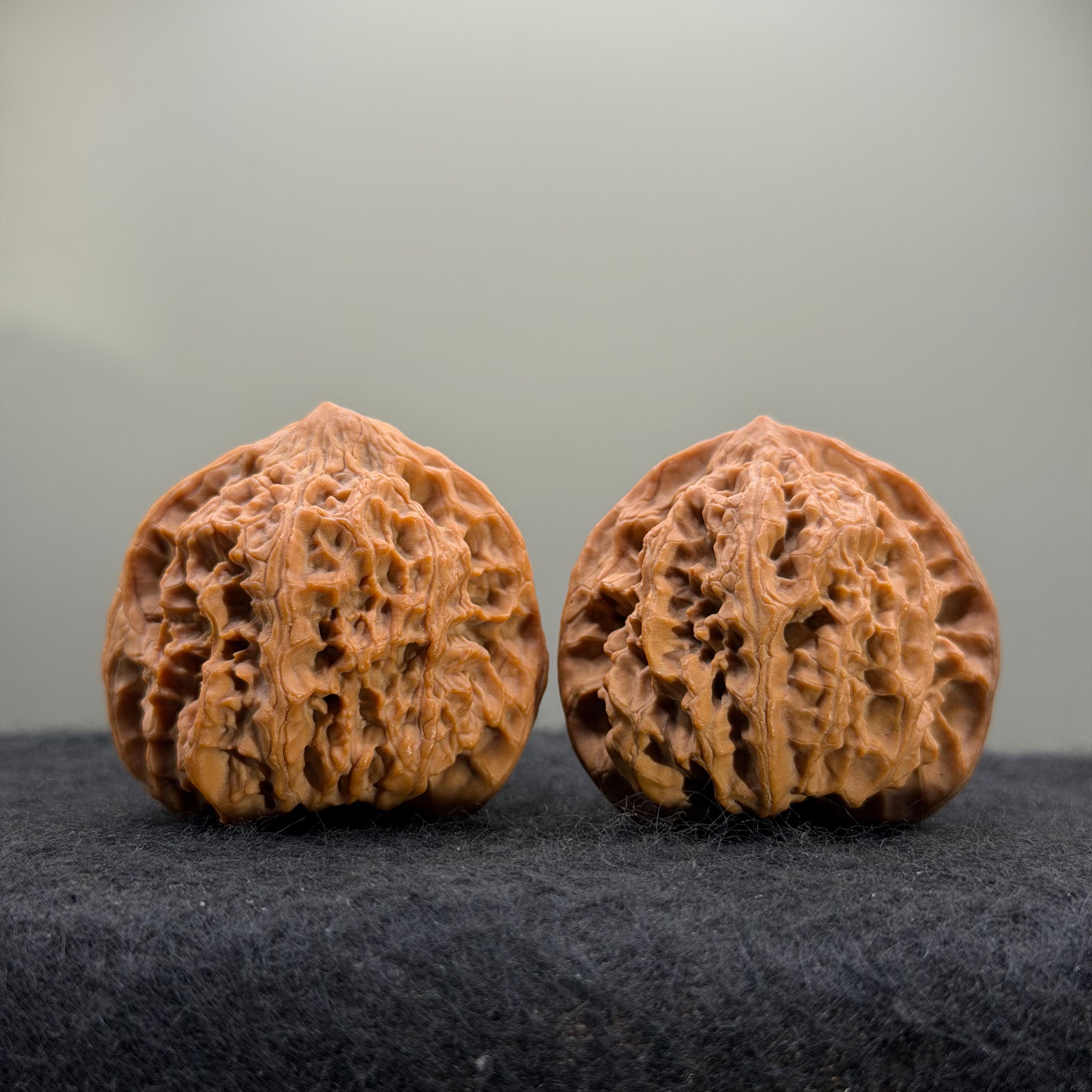 Wild Ox Wenwan Walnut · 41mm · Natural · Select Ritual