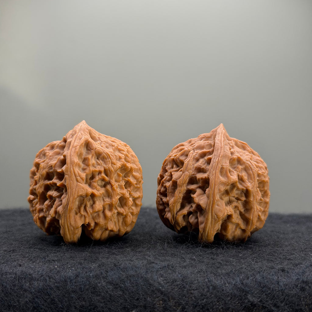 Wild Ox Wenwan Walnut · 41mm · Natural · Select Ritual