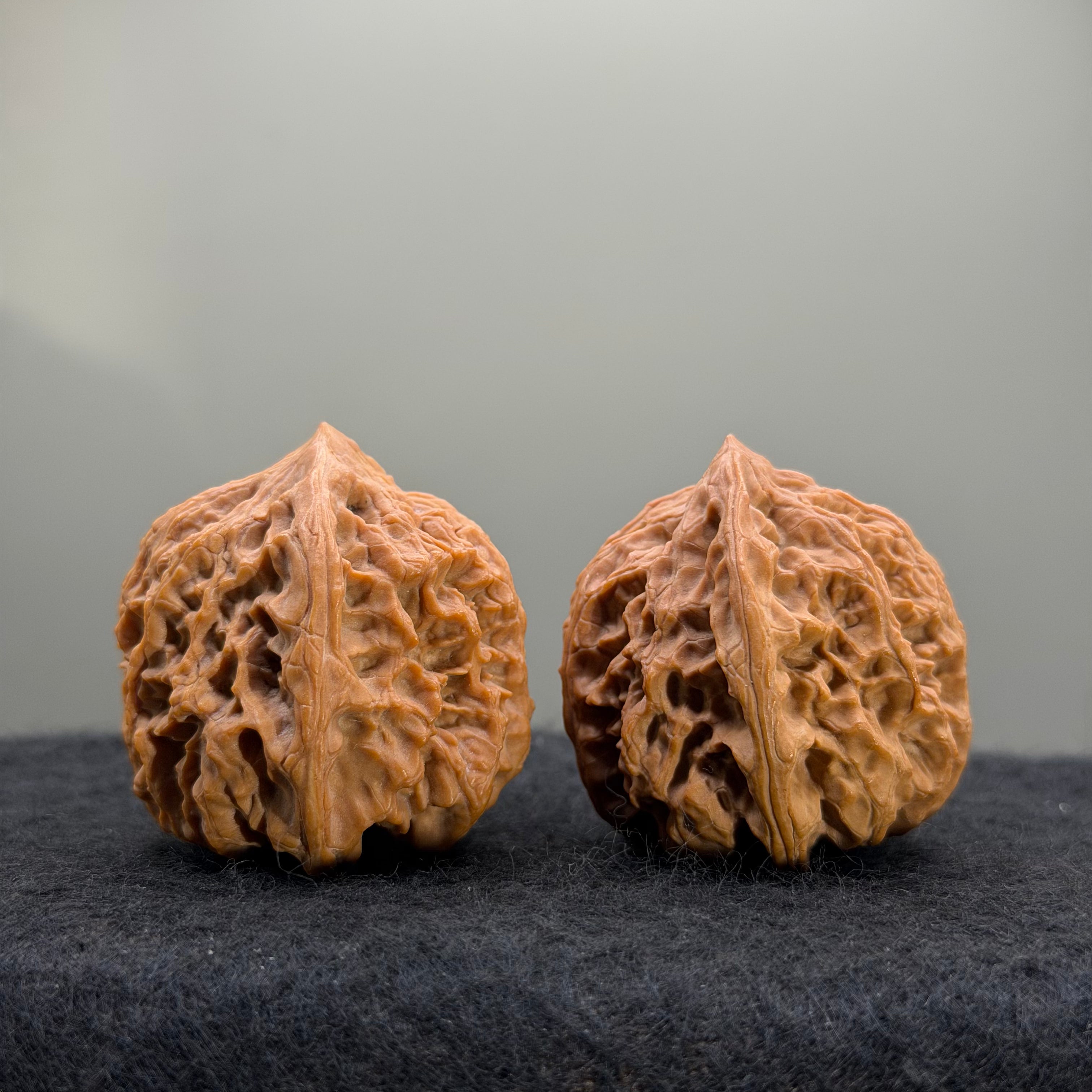 Wild Ox Wenwan Walnut · 41mm · Natural · Select Ritual
