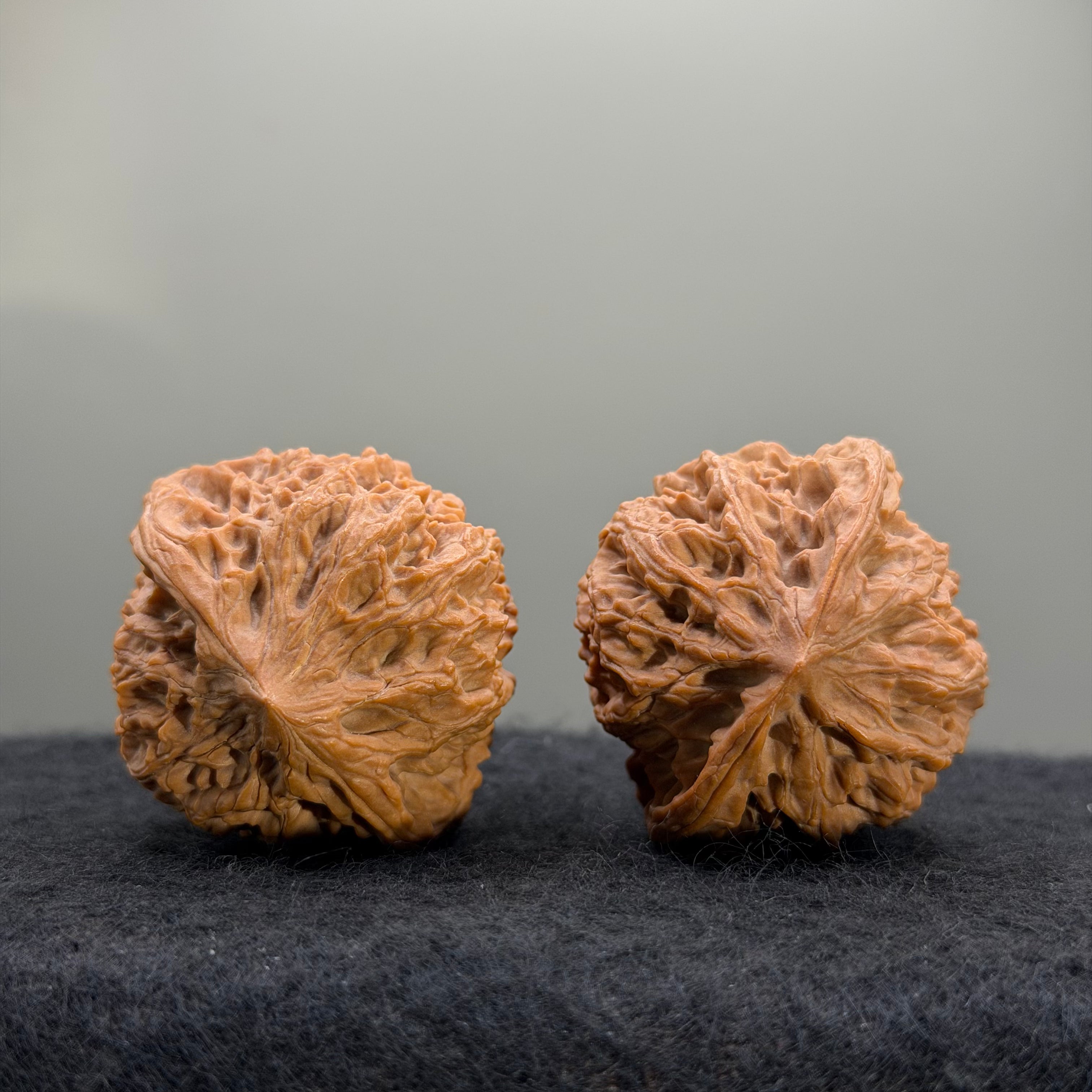 Wild Ox Wenwan Walnut · 41mm · Natural · Select Ritual