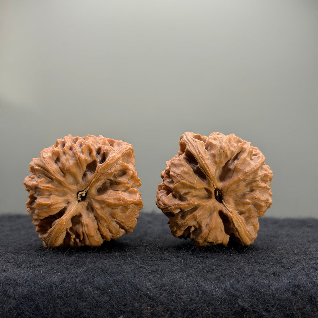 Wild Ox Wenwan Walnut · 41mm · Natural · Select Ritual