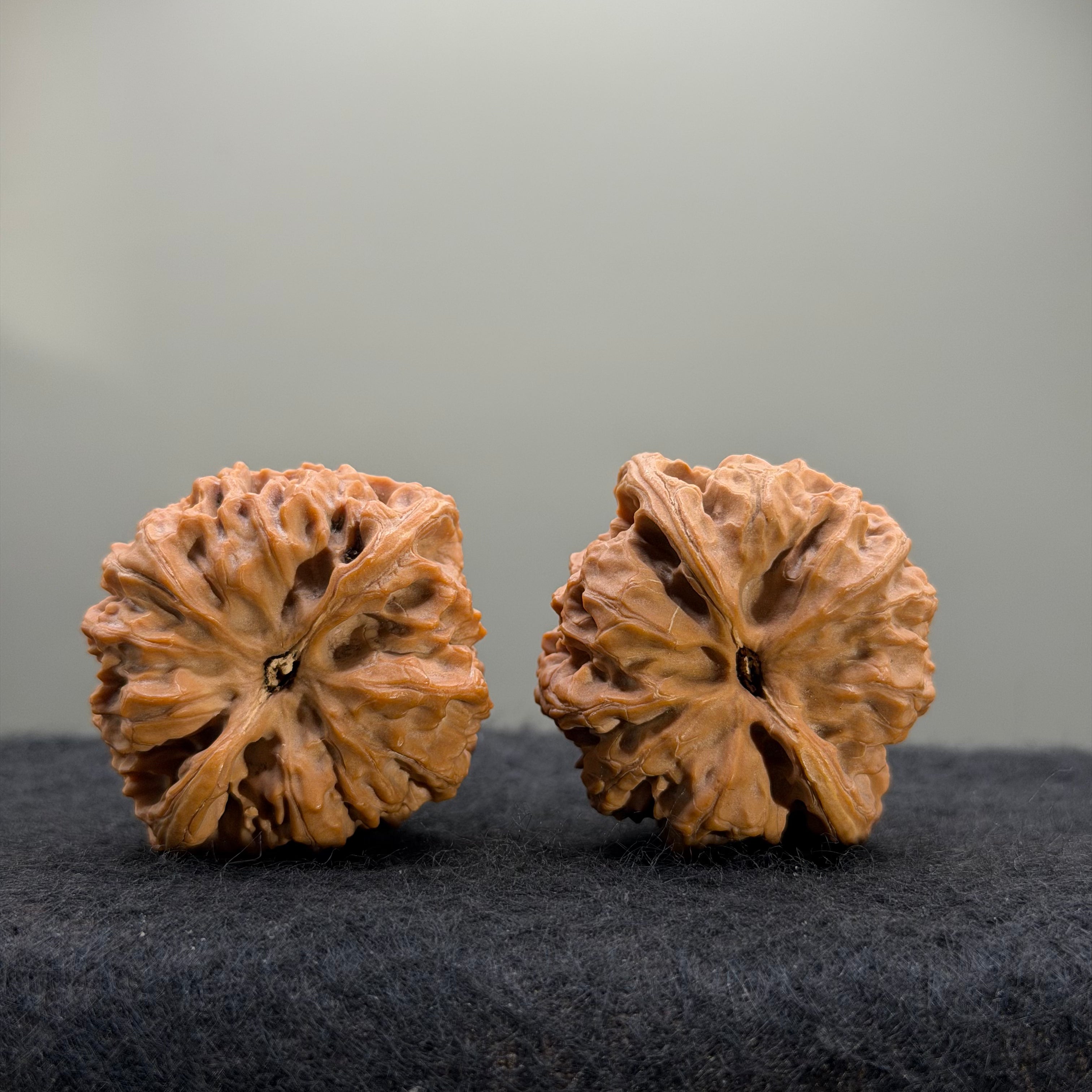 Wild Ox Wenwan Walnut · 41mm · Natural · Select Ritual