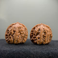 Guardian Tiger Wenwan Walnut · 37mm · Natural · Premium Ritual