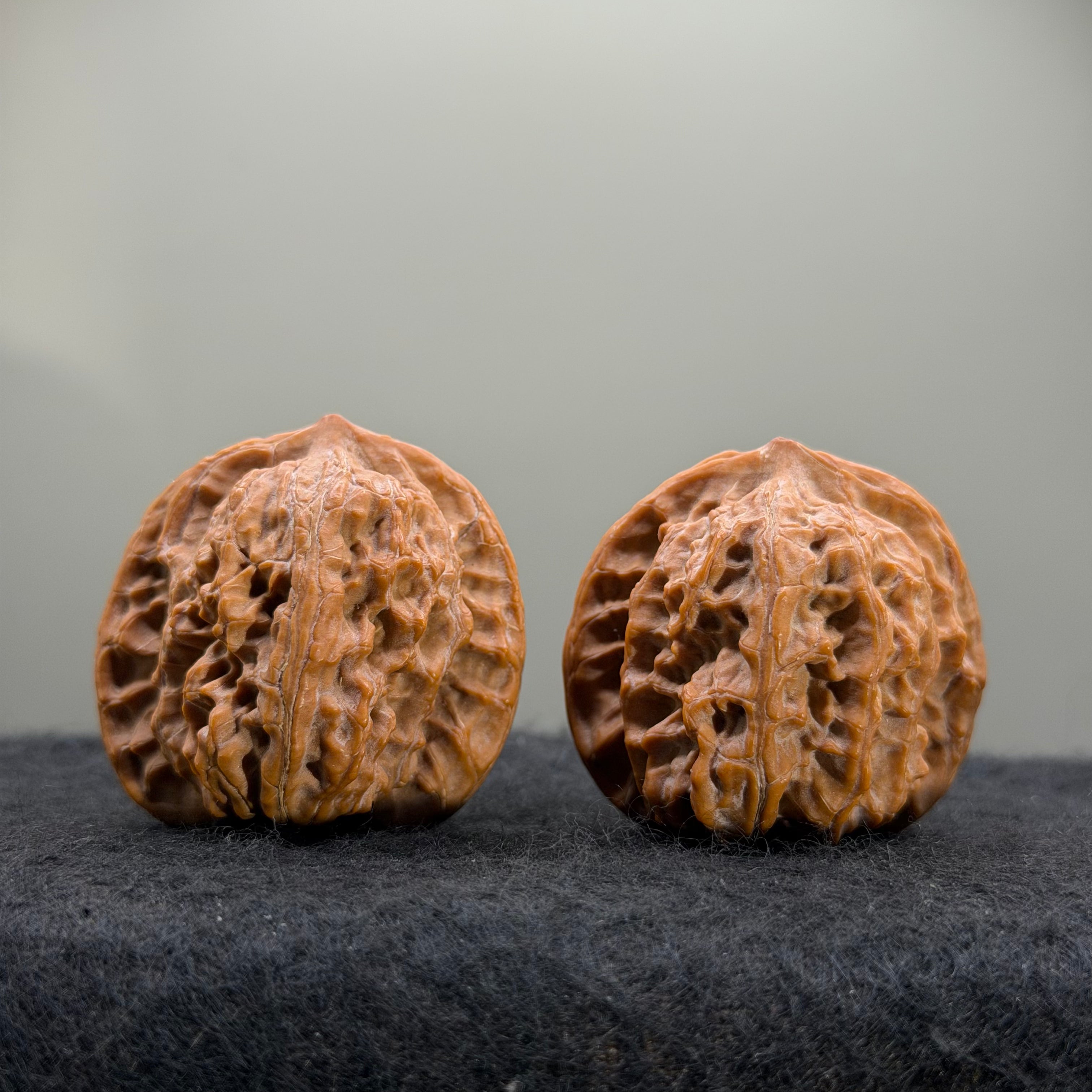 Guardian Tiger Wenwan Walnut · 37mm · Natural · Premium Ritual