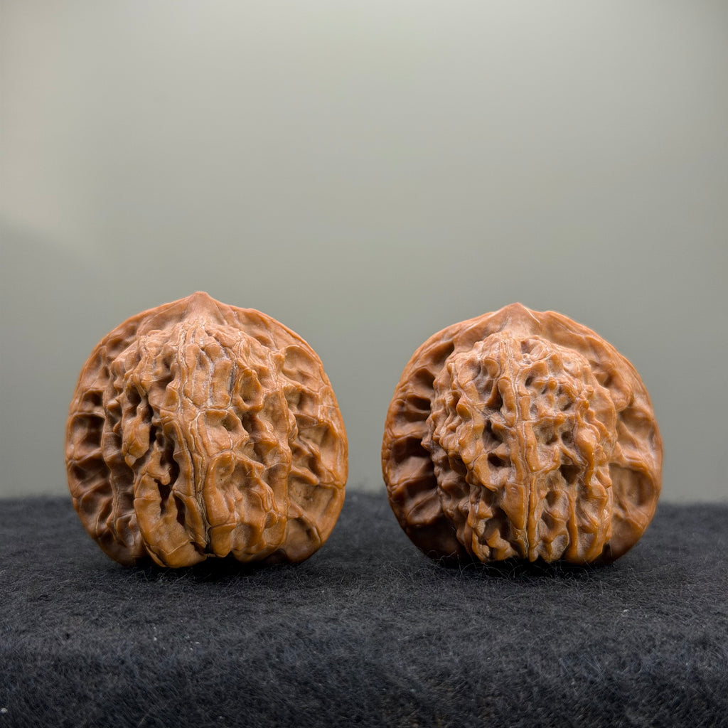 Guardian Tiger Wenwan Walnut · 37mm · Natural · Premium Ritual