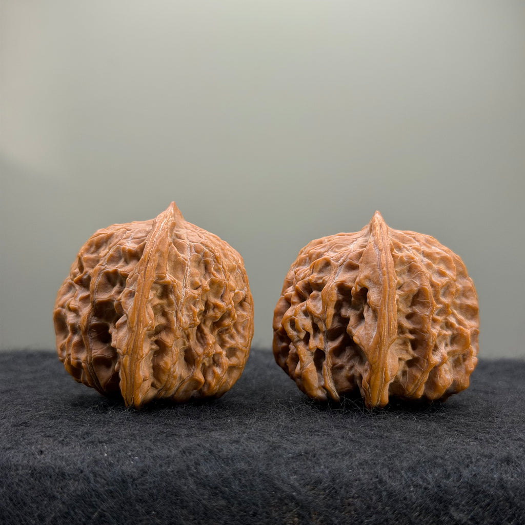 Guardian Tiger Wenwan Walnut · 37mm · Natural · Premium Ritual