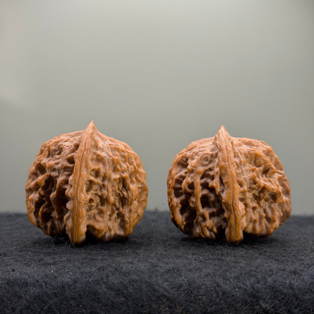 Guardian Tiger Wenwan Walnut · 37mm · Natural · Premium Ritual