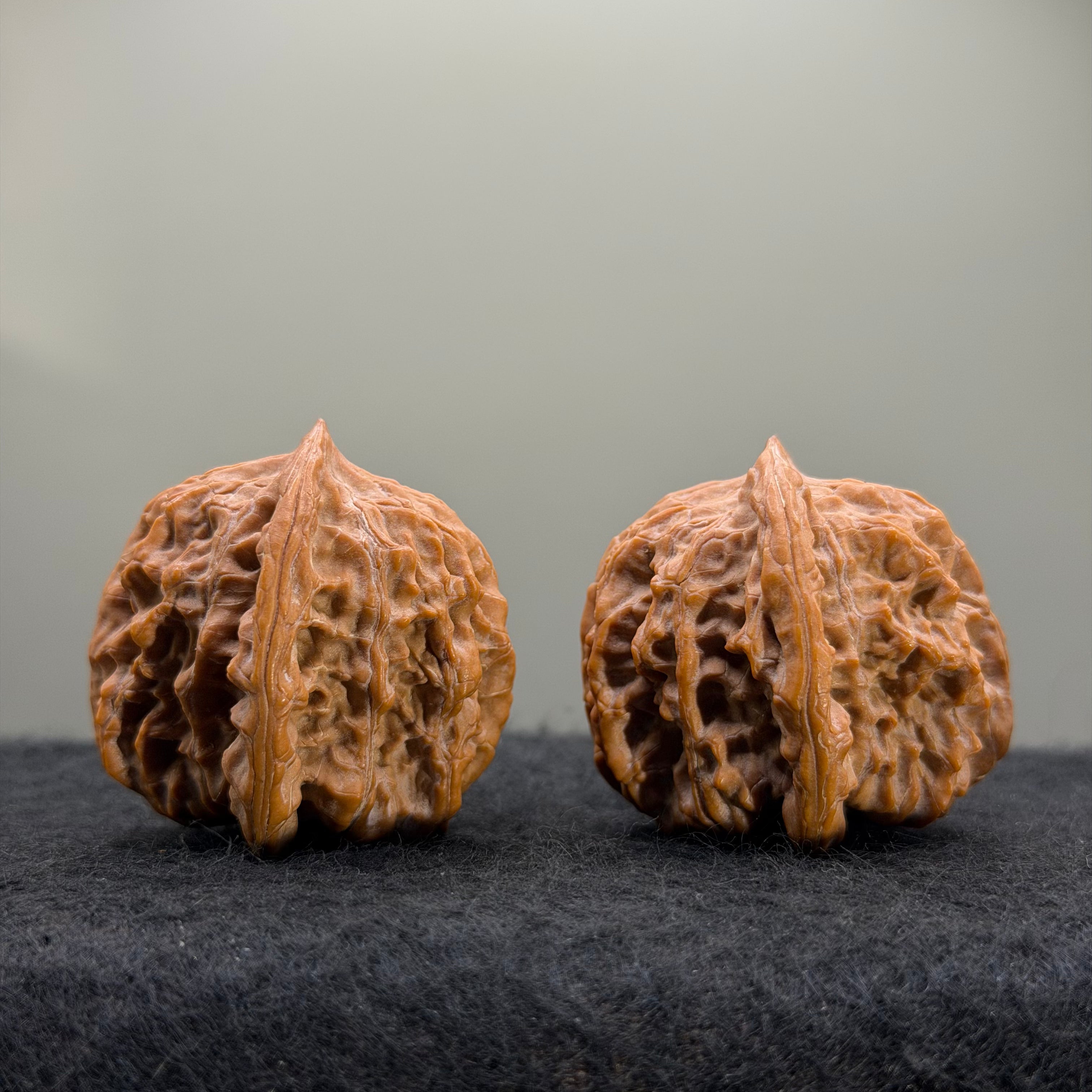 Guardian Tiger Wenwan Walnut · 37mm · Natural · Premium Ritual
