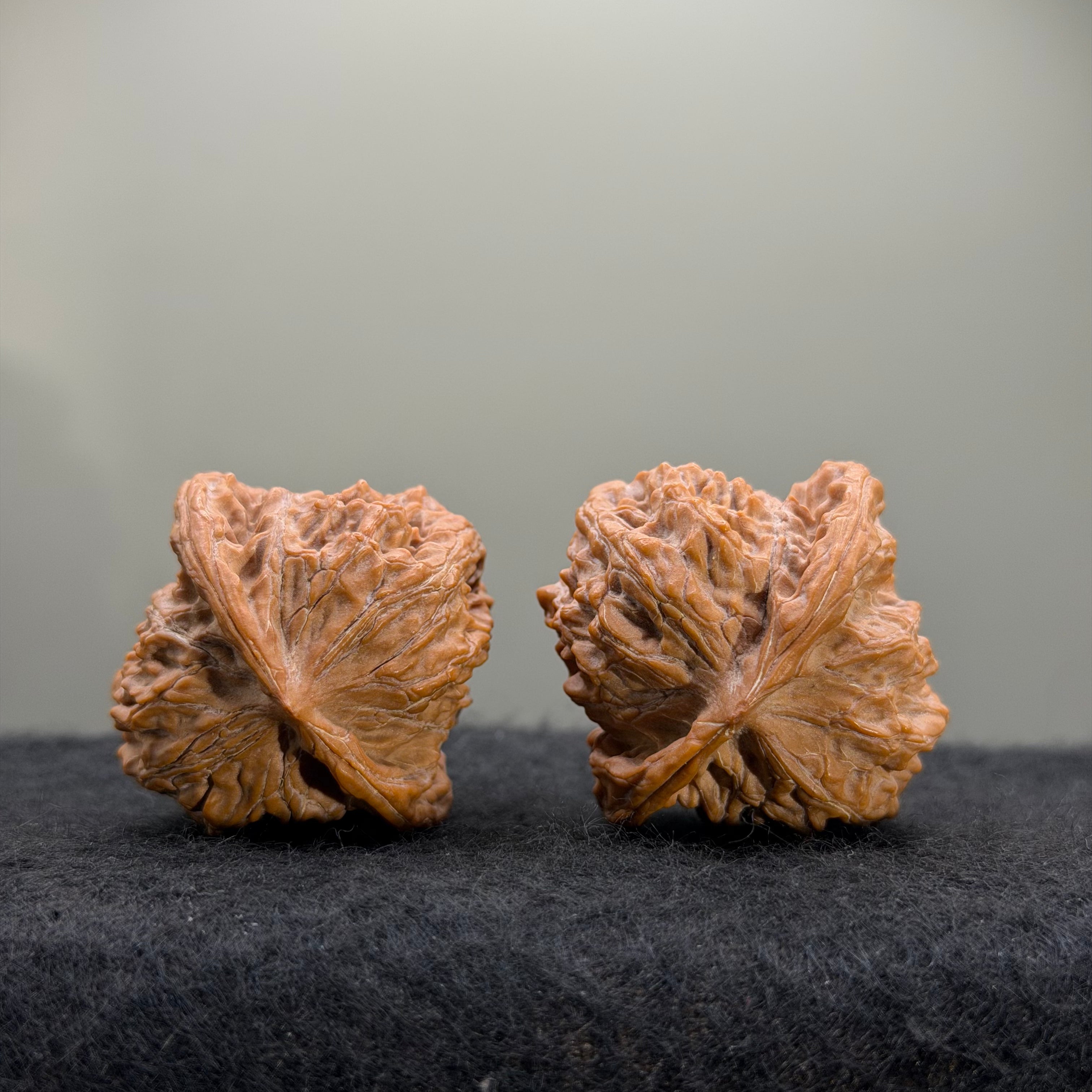 Guardian Tiger Wenwan Walnut · 37mm · Natural · Premium Ritual