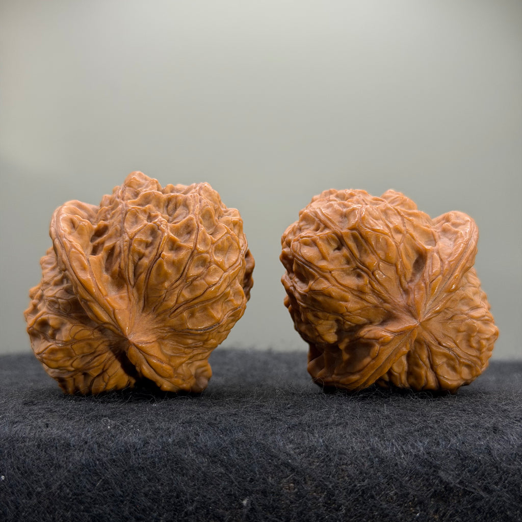 Giant Pumpkin Wenwan Walnut · 44mm · Natural · Select Ritual