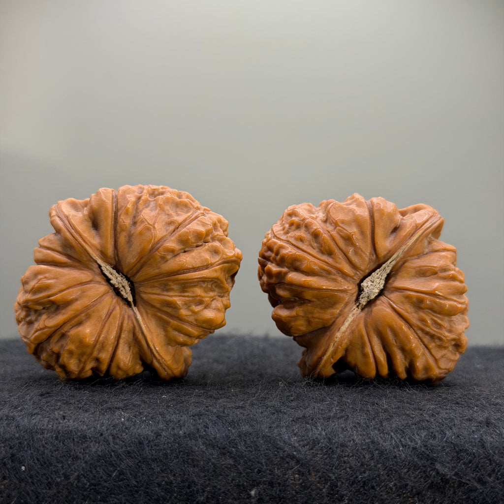 Giant Pumpkin Wenwan Walnut · 44mm · Natural · Select Ritual