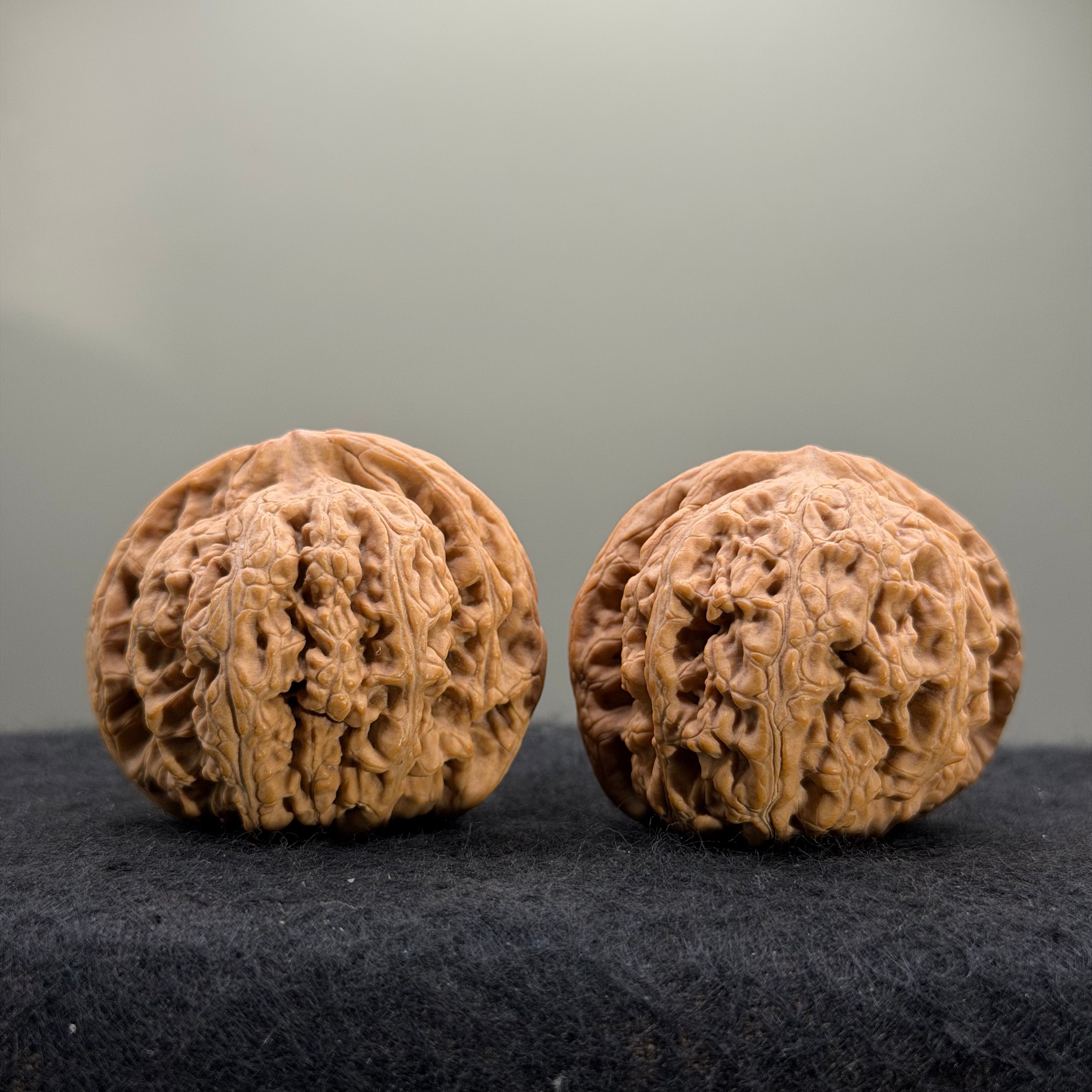 Thick Ribs Wenwan Walnut · 44mm · Natural · Entry Ritual