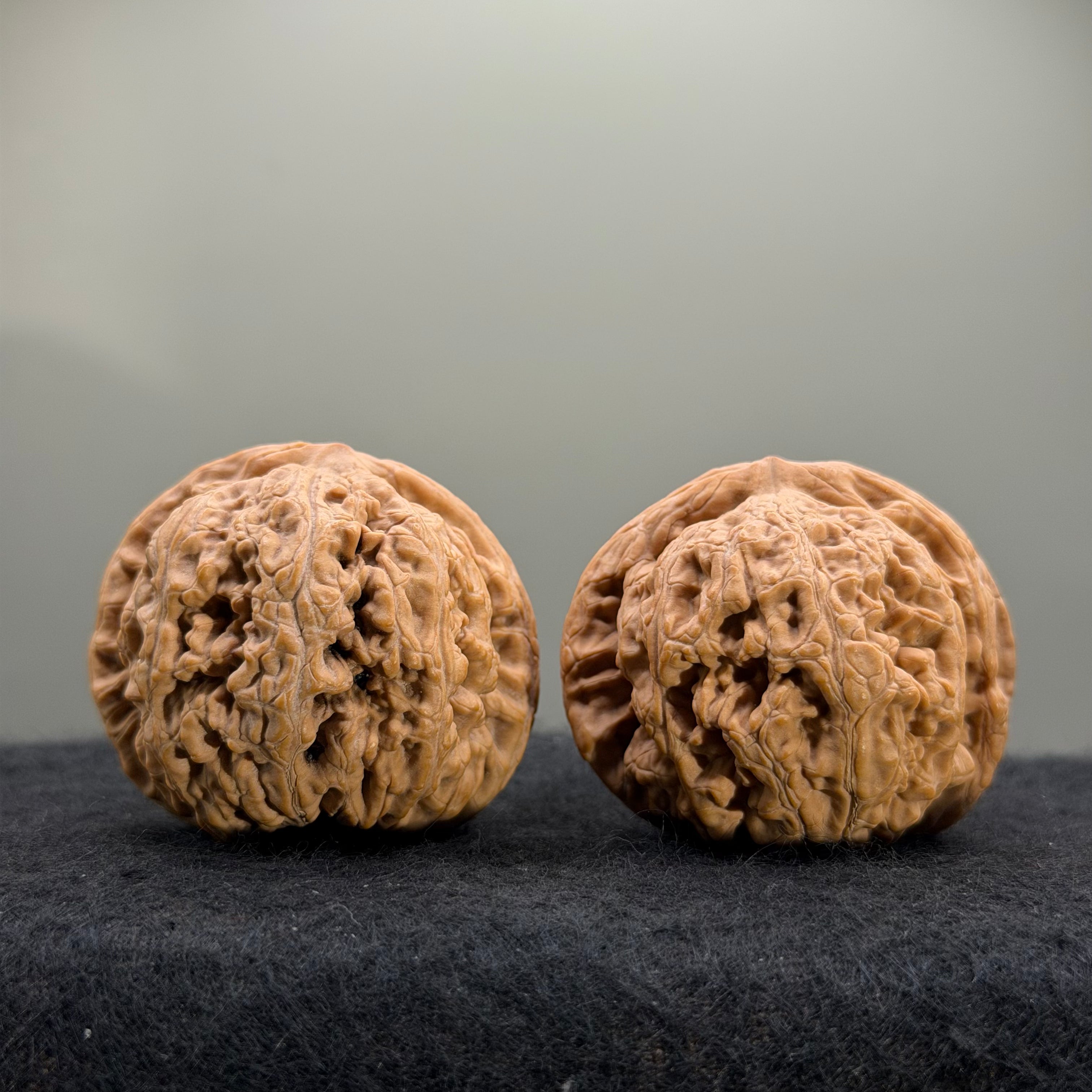 Thick Ribs Wenwan Walnut · 44mm · Natural · Entry Ritual