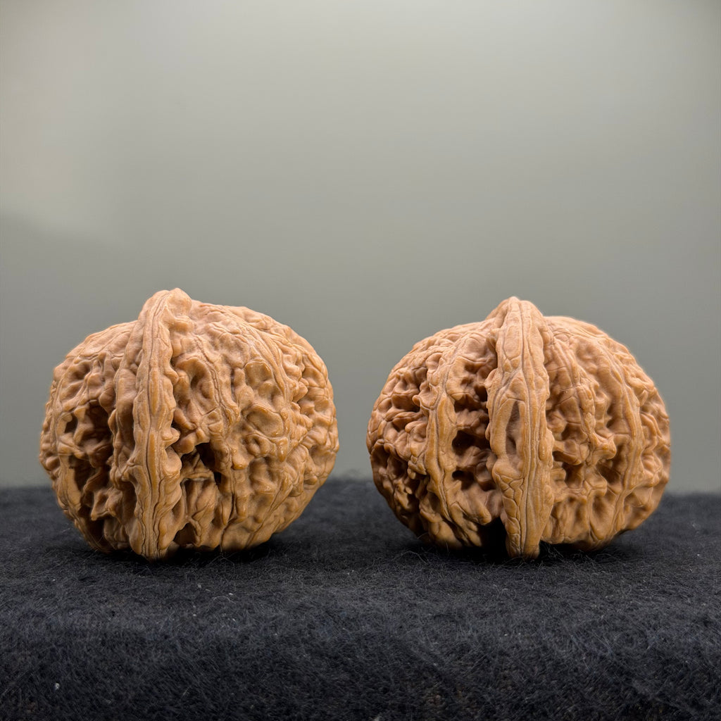 Thick Ribs Wenwan Walnut · 44mm · Natural · Entry Ritual