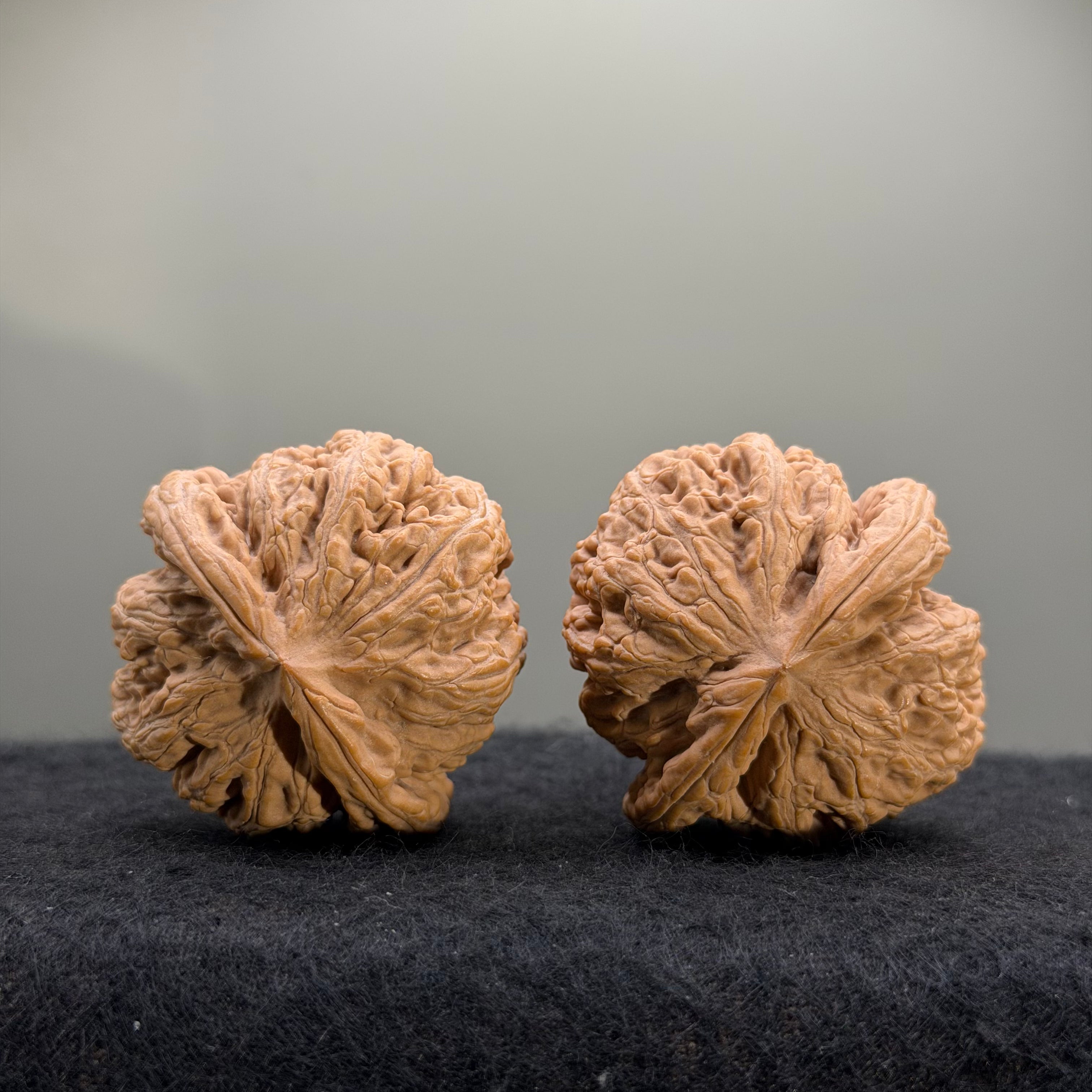 Thick Ribs Wenwan Walnut · 44mm · Natural · Entry Ritual