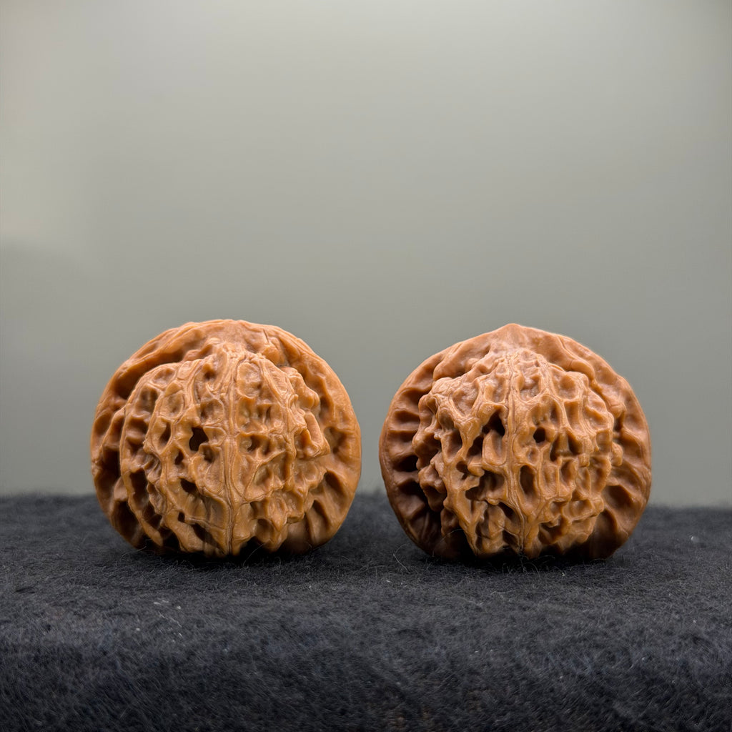 Dragon Pearl Wenwan Walnut  · 37mm · Natural · Select Ritual