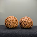Dragon Pearl Wenwan Walnut  · 37mm · Natural · Select Ritual