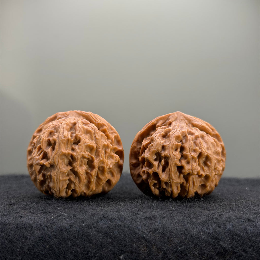Dragon Pearl Wenwan Walnut  · 37mm · Natural · Select Ritual