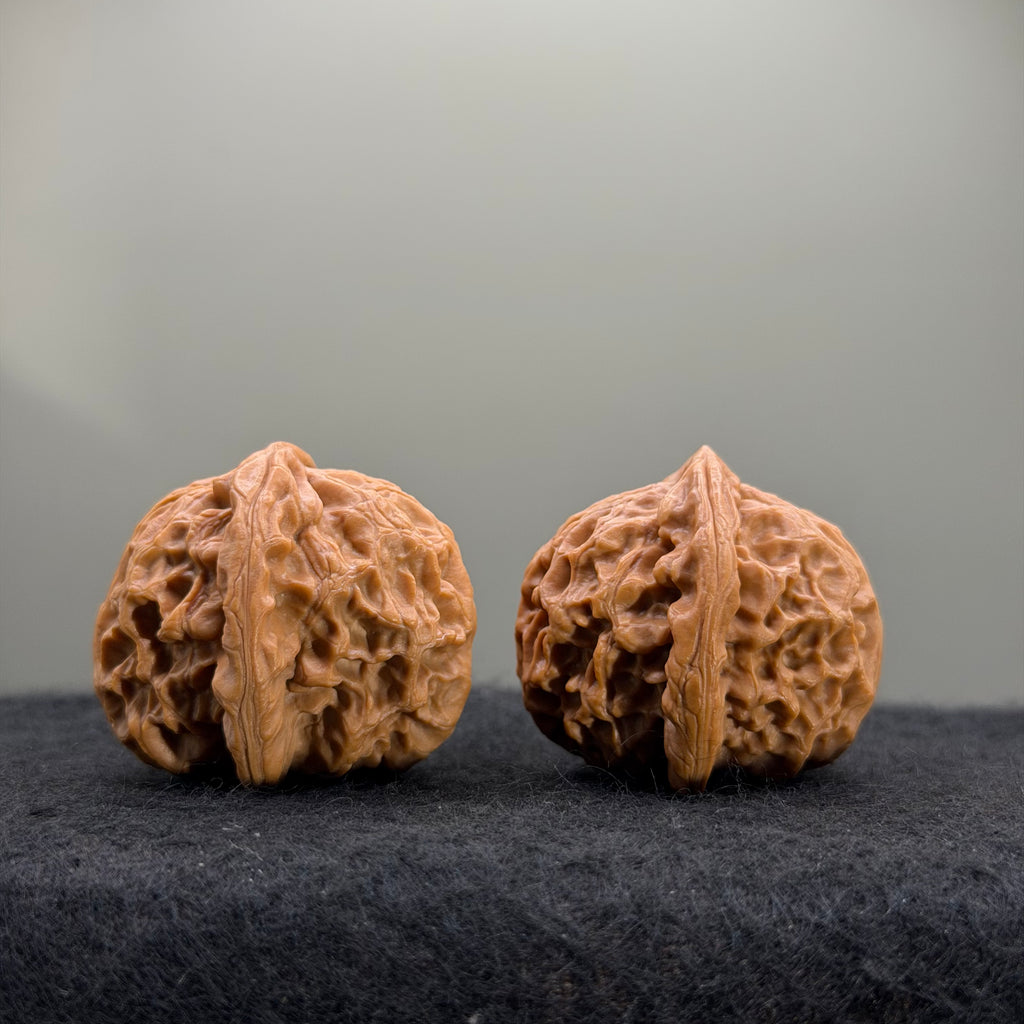 Dragon Pearl Wenwan Walnut  · 37mm · Natural · Select Ritual