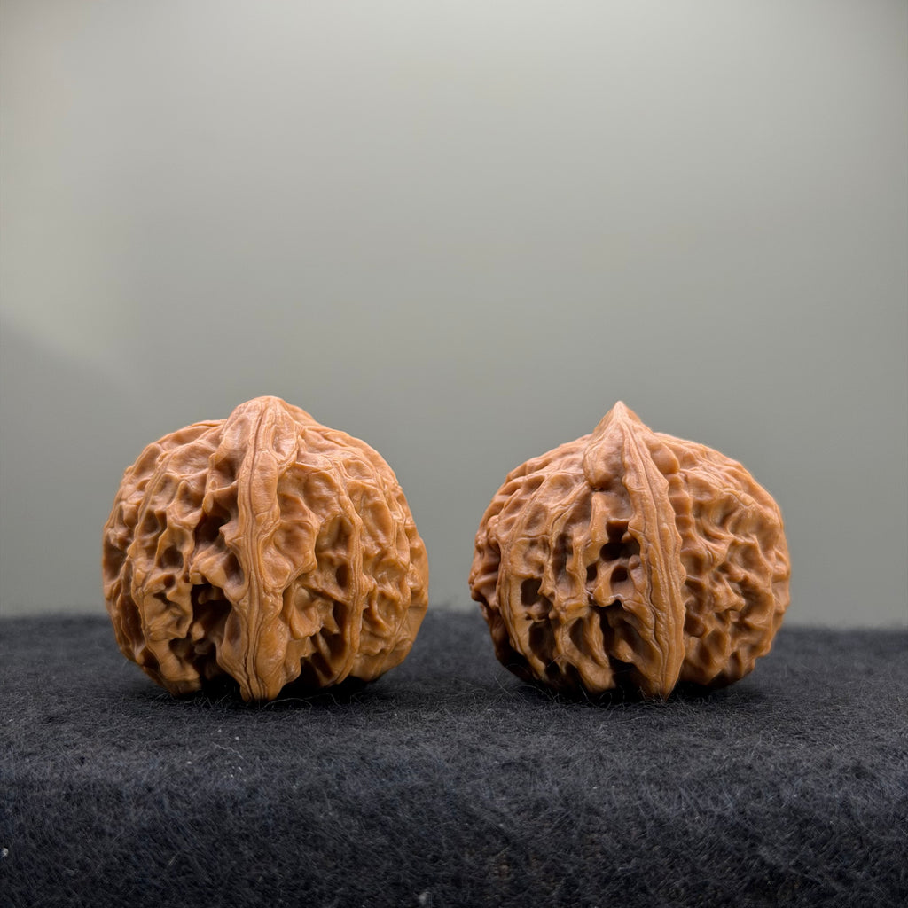 Dragon Pearl Wenwan Walnut  · 37mm · Natural · Select Ritual