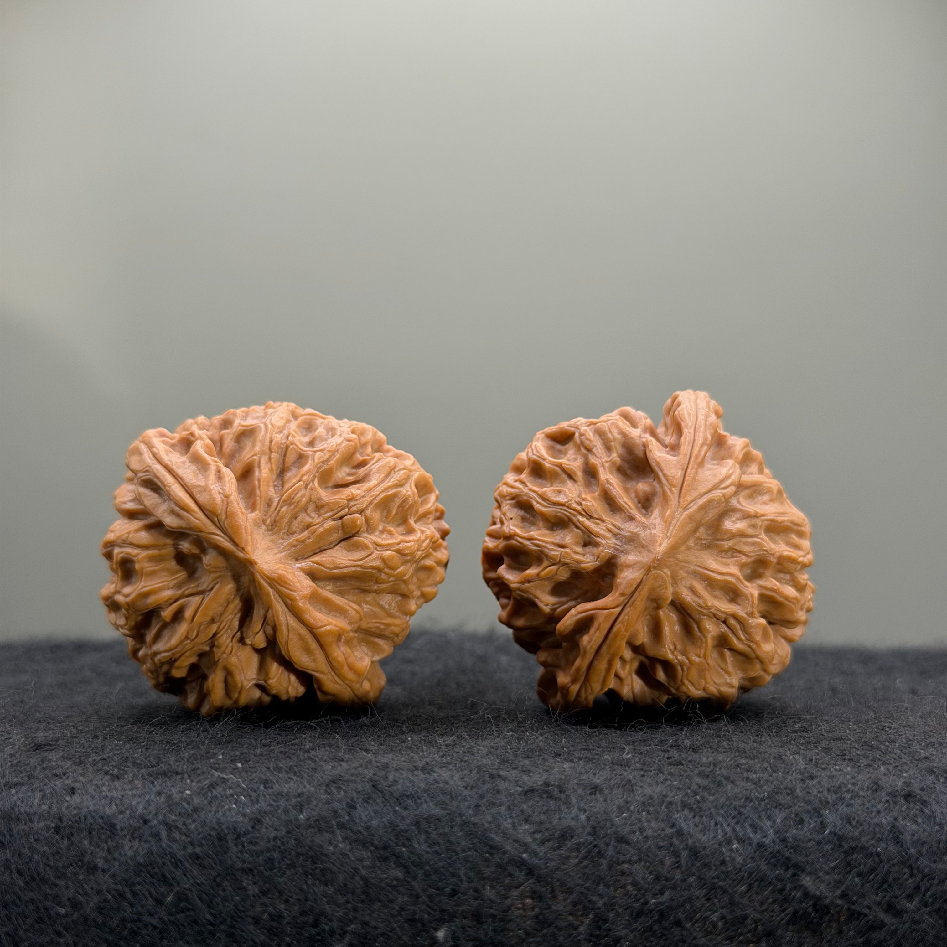 Dragon Pearl Wenwan Walnut  · 37mm · Natural · Select Ritual