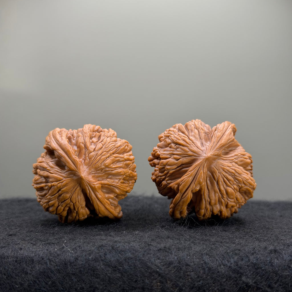 Wheat Ear Tiger Head Wenwan Walnut · 39mm · Select Ritual