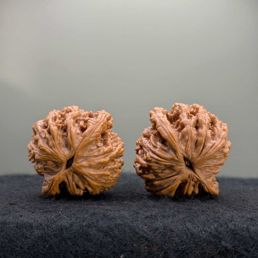 Wheat Ear Tiger Head Wenwan Walnut · 39mm · Select Ritual