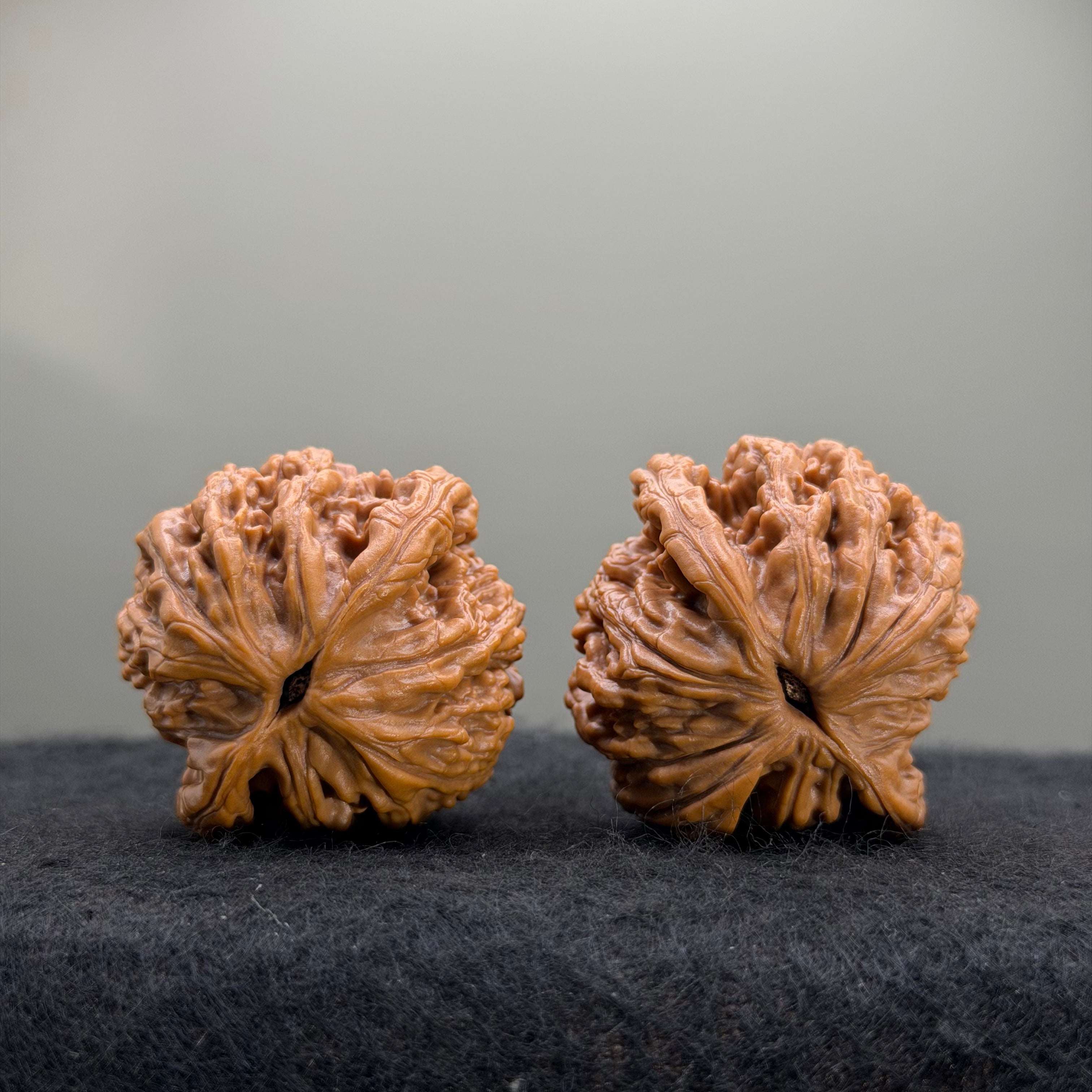 Wheat Ear Tiger Head Wenwan Walnut · 39mm · Select Ritual