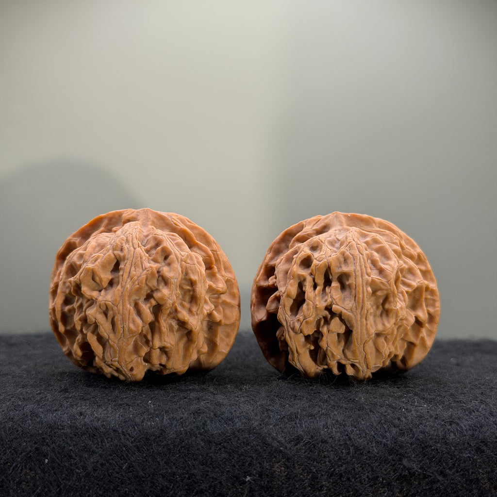 Giant Apple Orchard Wenwan Walnut · 44mm · Natural · Premium Ritual