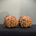 Giant Apple Orchard Wenwan Walnut · 44mm · Natural · Premium Ritual