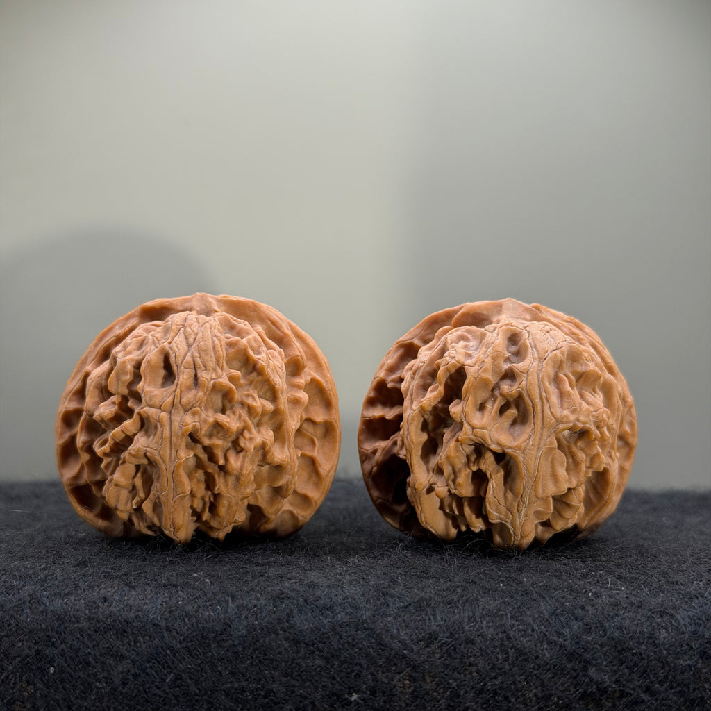Giant Apple Orchard Wenwan Walnut · 44mm · Natural · Premium Ritual