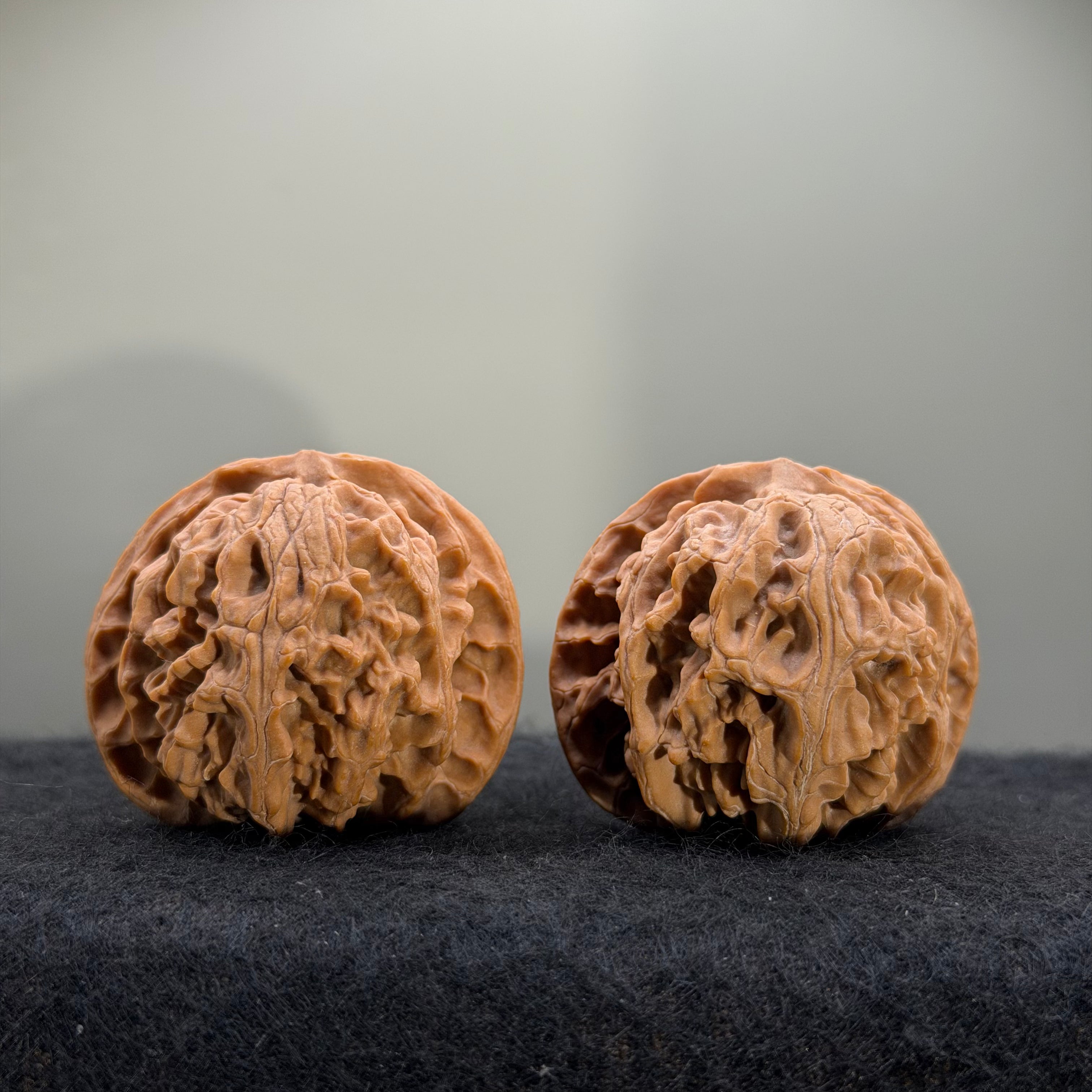 Giant Apple Orchard Wenwan Walnut · 44mm · Natural · Premium Ritual