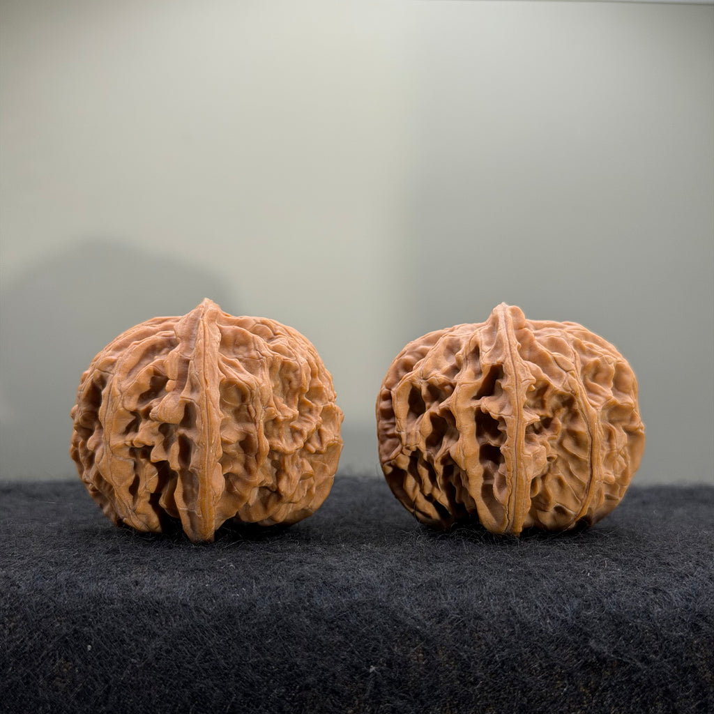 Giant Apple Orchard Wenwan Walnut · 44mm · Natural · Premium Ritual