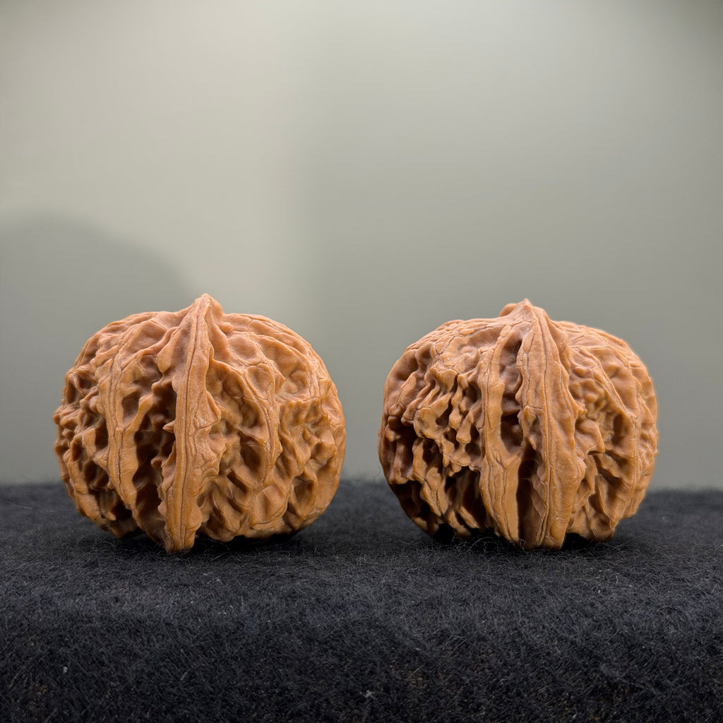 Giant Apple Orchard Wenwan Walnut · 44mm · Natural · Premium Ritual
