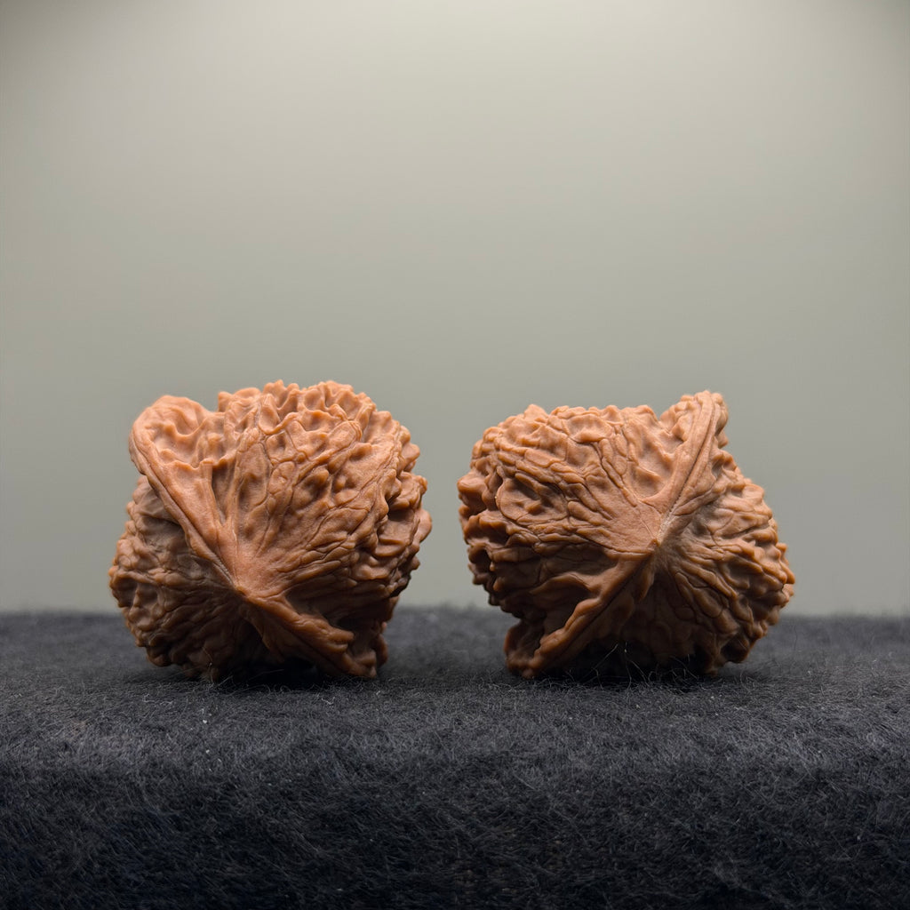 Wild · Triangle Wukong  · 40mm · Natural · Collector Ritual