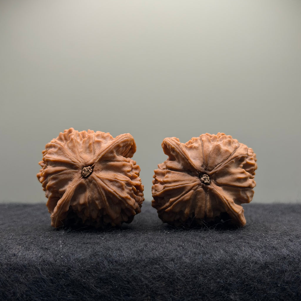 Wild · Triangle Wukong  · 40mm · Natural · Collector Ritual