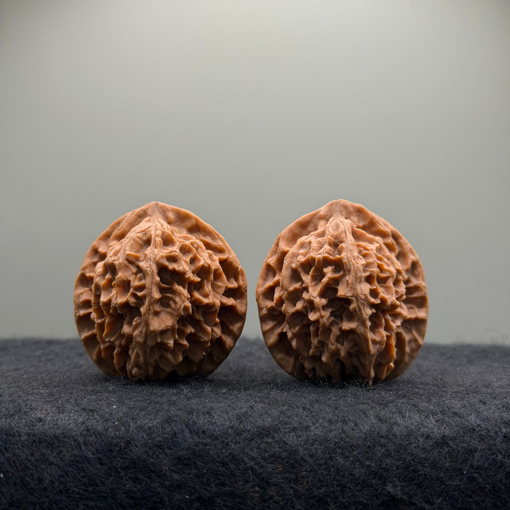 Wild · Rose Wenwan Walnut  · 36mm · Natural · Collector Ritual
