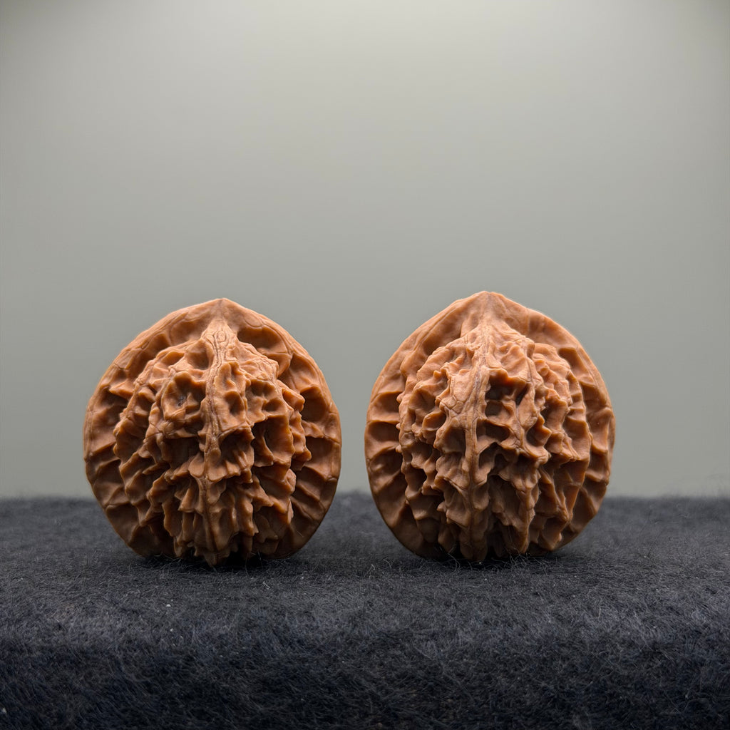 Wild · Rose Wenwan Walnut  · 36mm · Natural · Collector Ritual