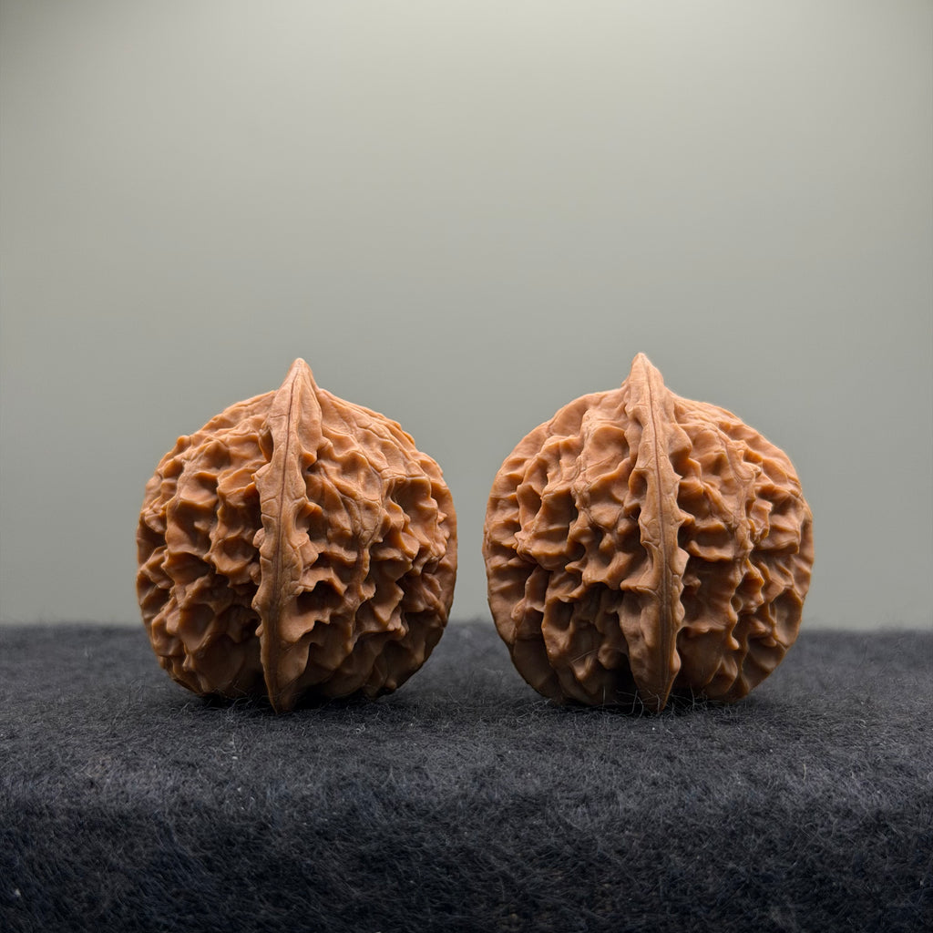 Wild · Rose Wenwan Walnut  · 36mm · Natural · Collector Ritual