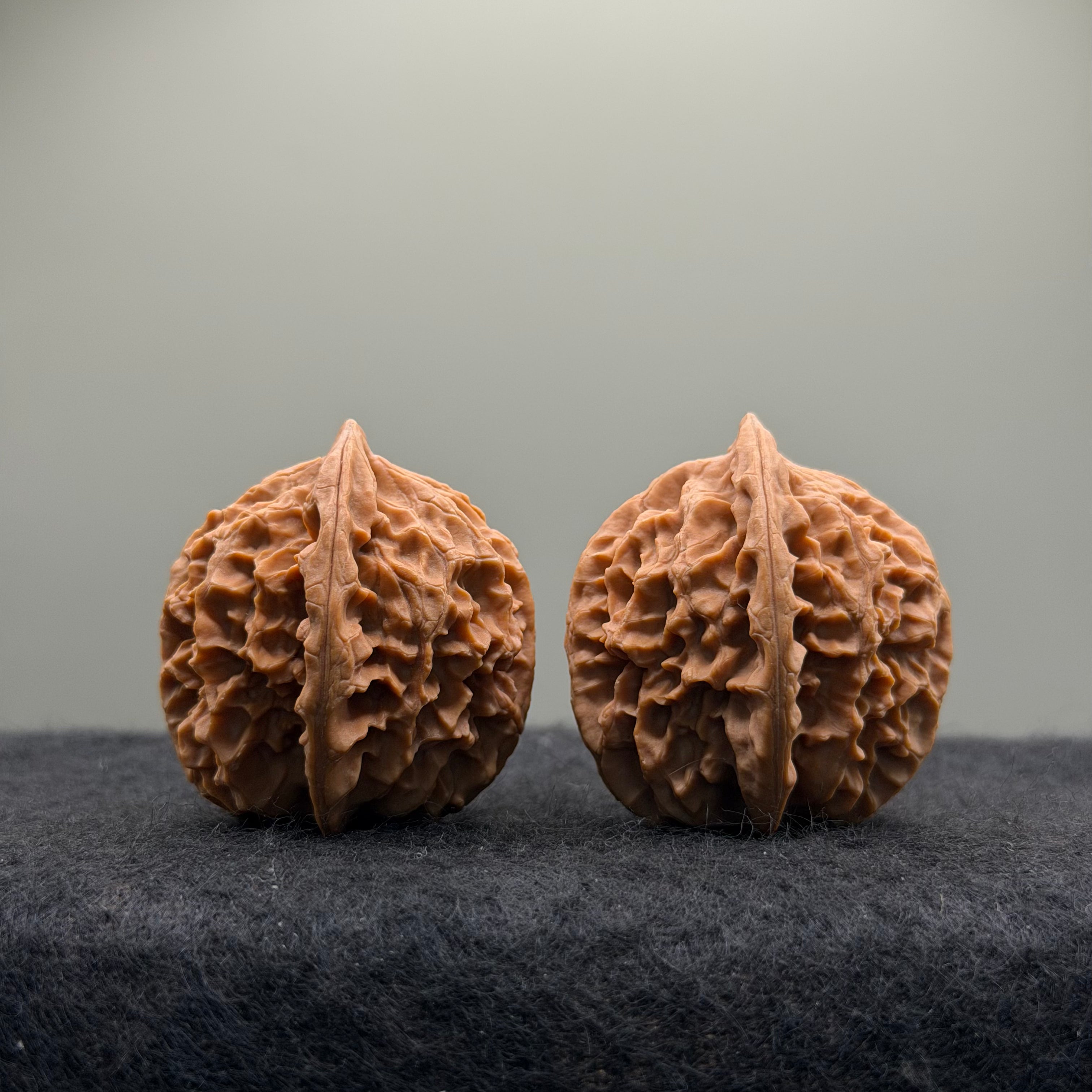 Wild · Rose Wenwan Walnut  · 36mm · Natural · Collector Ritual