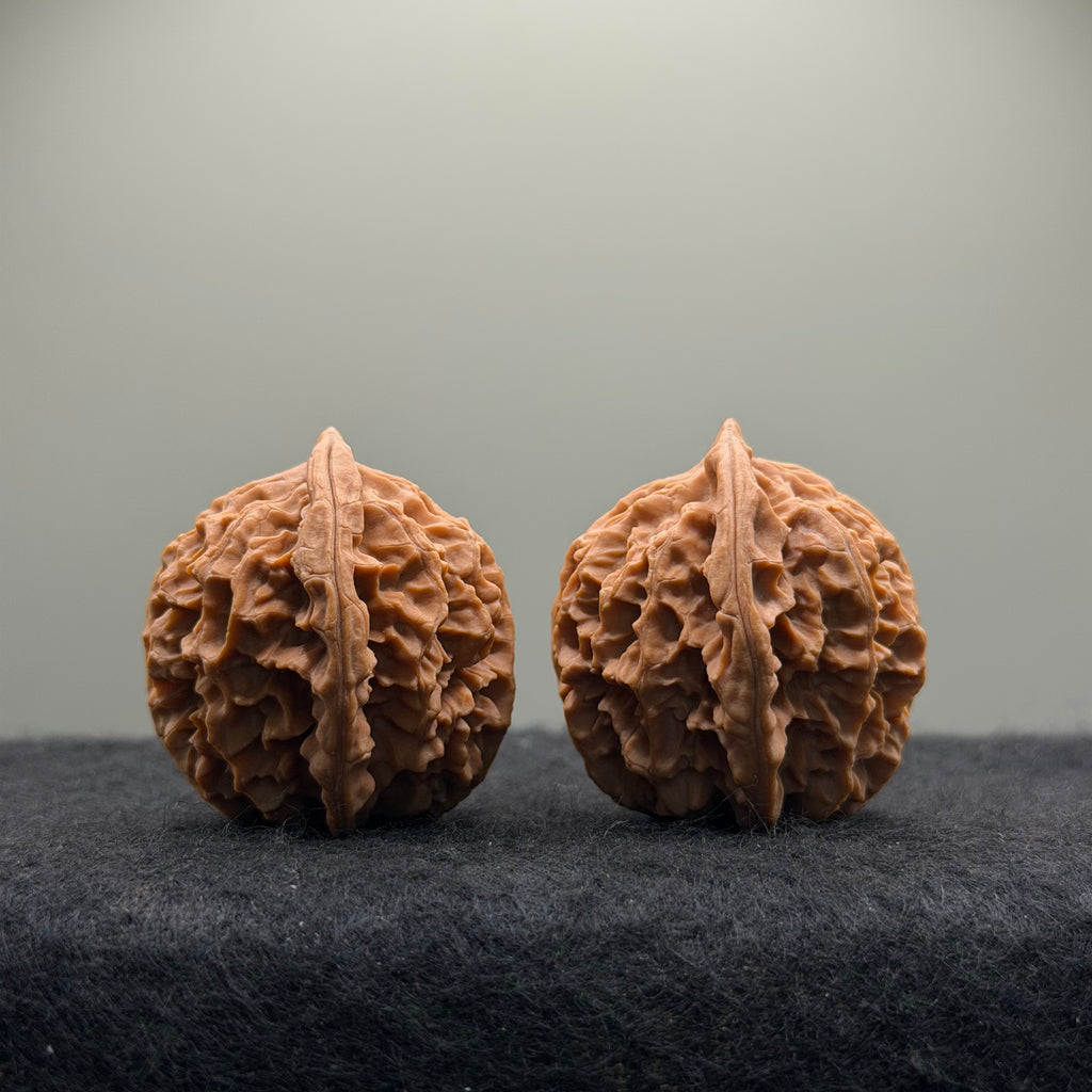 Wild · Rose Wenwan Walnut  · 36mm · Natural · Collector Ritual