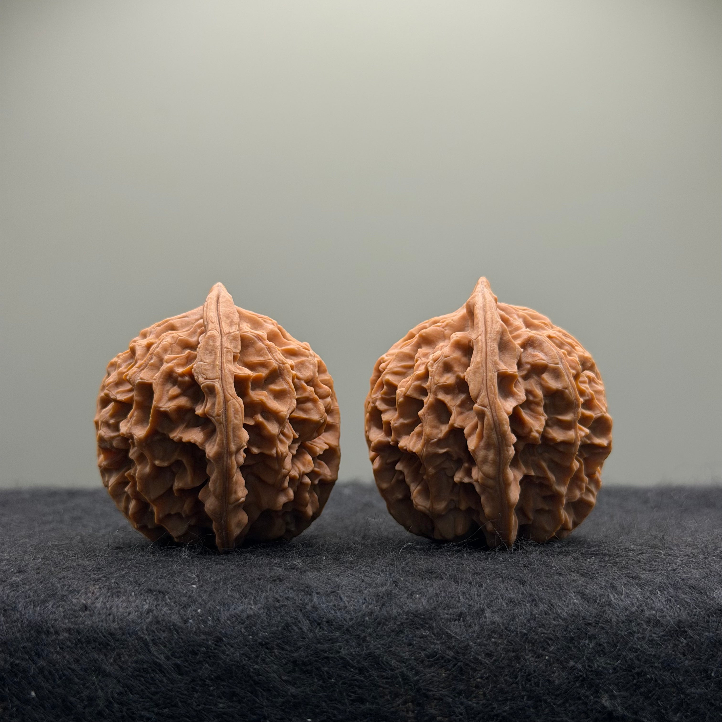 Wild · Rose Wenwan Walnut  · 36mm · Natural · Collector Ritual