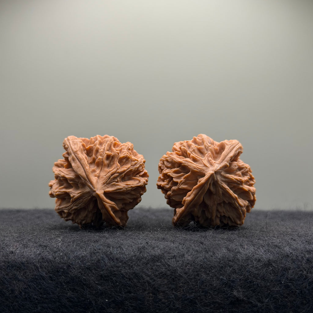 Wild · Rose Wenwan Walnut  · 36mm · Natural · Collector Ritual