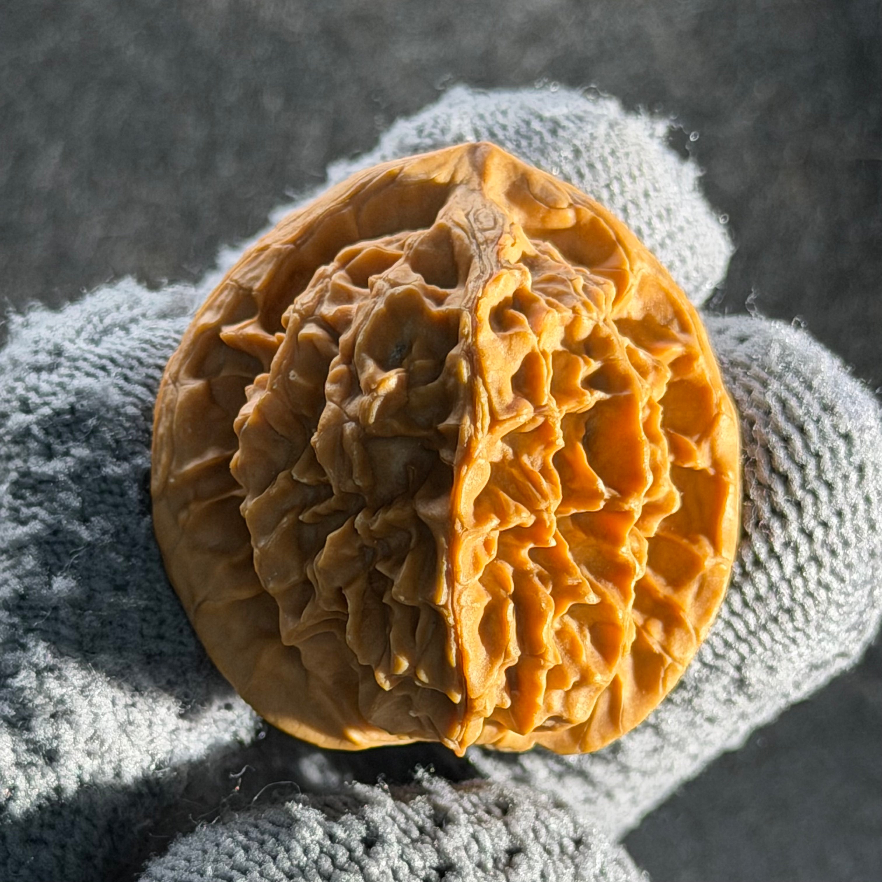 Wild · Rose Wenwan Walnut  · 36mm · Natural · Collector Ritual