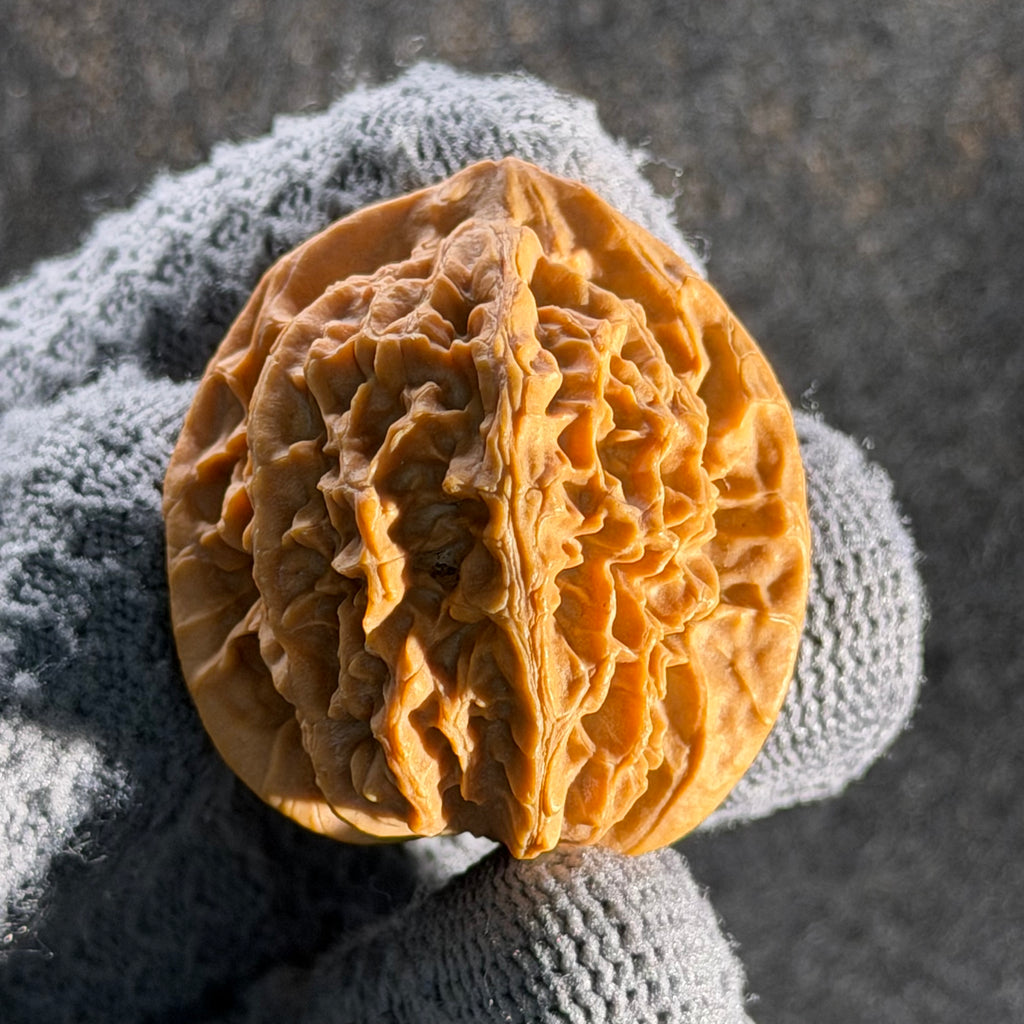 Wild · Rose Wenwan Walnut  · 36mm · Natural · Collector Ritual