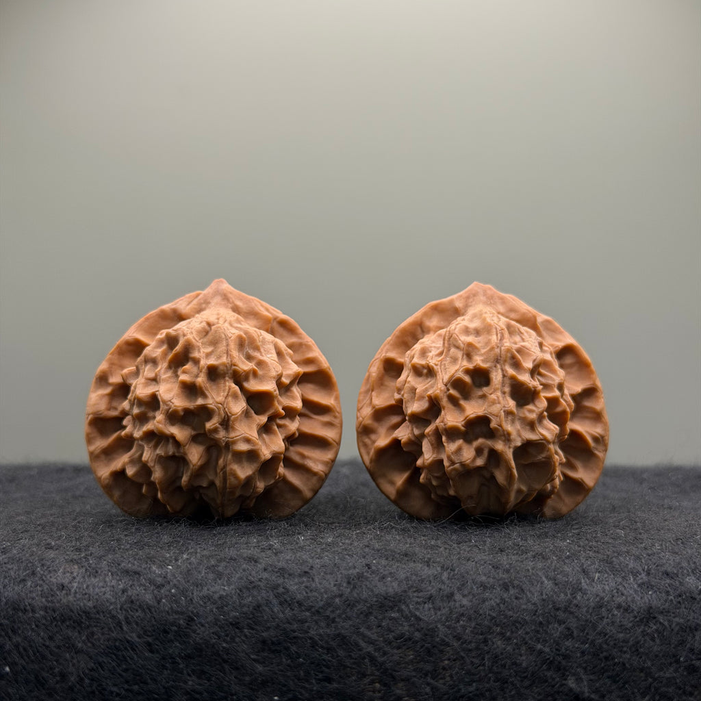 Wild · Mandala Wenwan Walnut  · 38mm · Natural · Collector Ritual