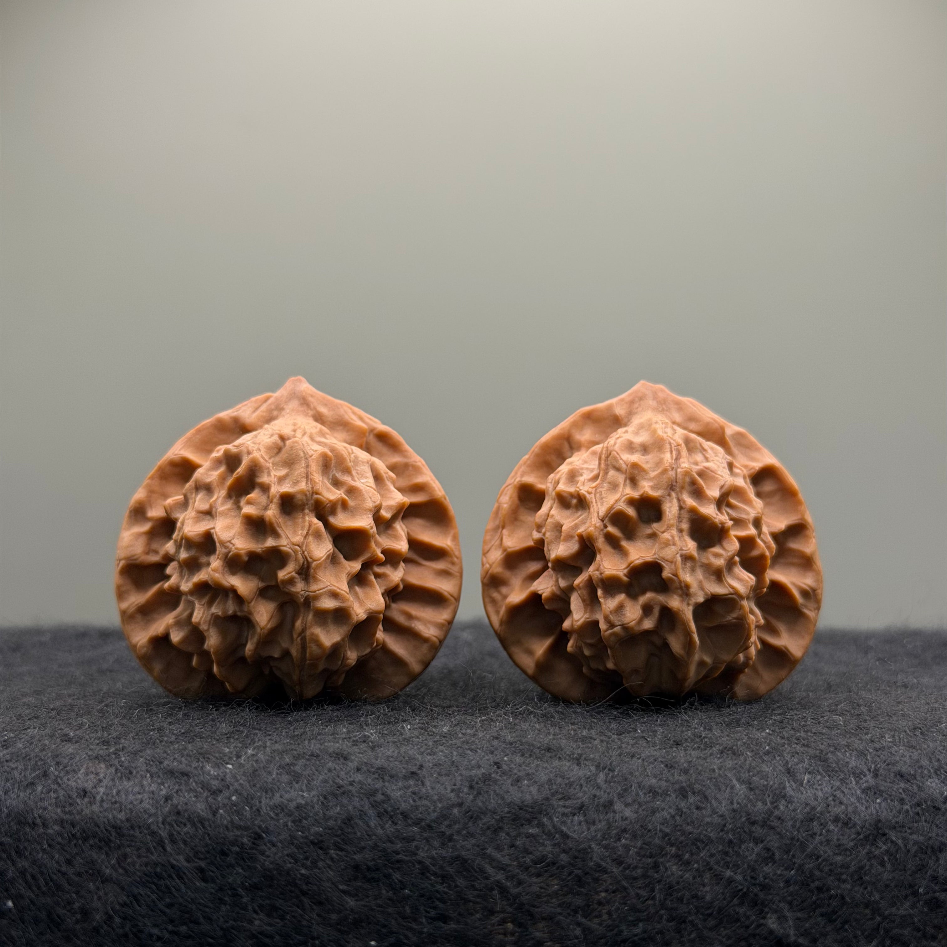 Wild · Mandala Wenwan Walnut  · 38mm · Natural · Collector Ritual